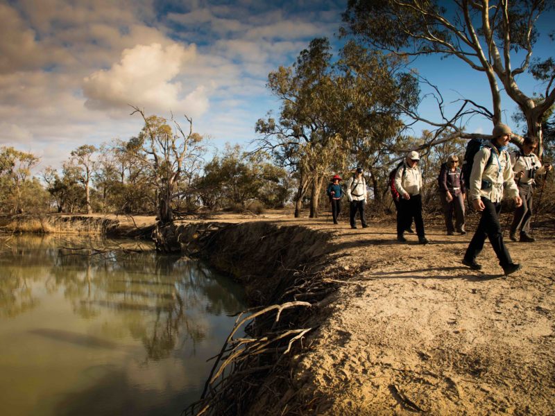 Murray River Walk Guided Walking South Australia