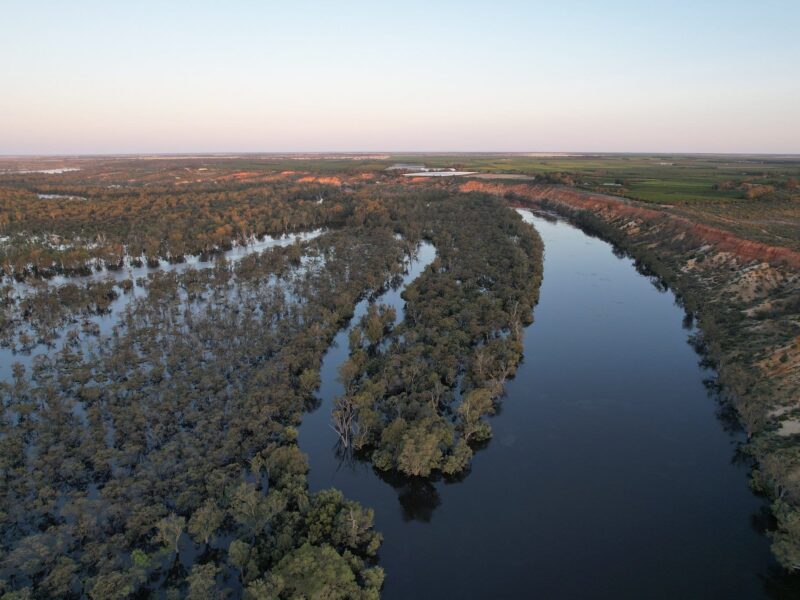 Murray River in Flood South Australia 2022